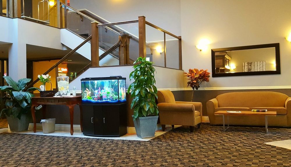 Quality Inn Kamloops Extérieur photo